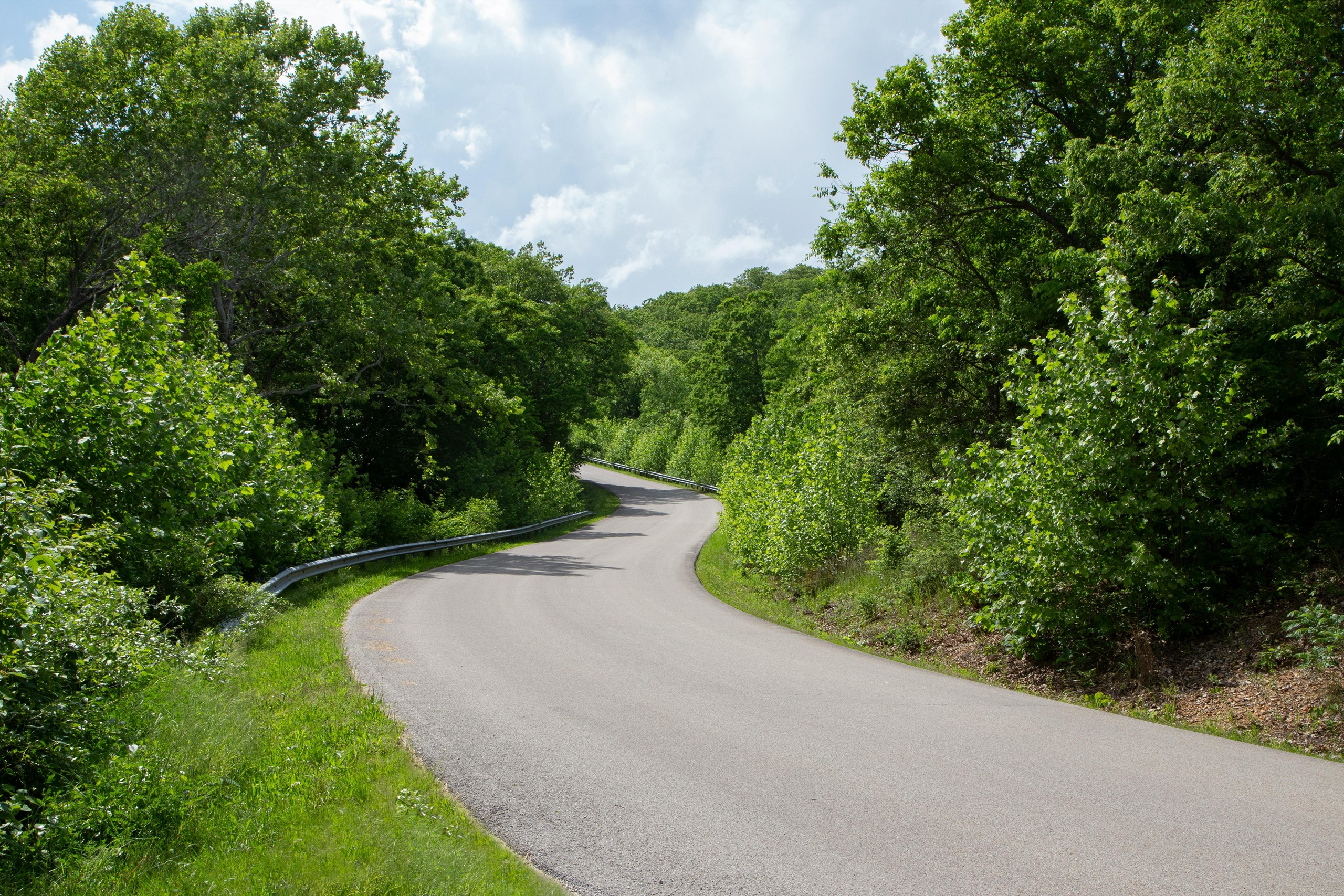 Carretera de curvas entre árboles