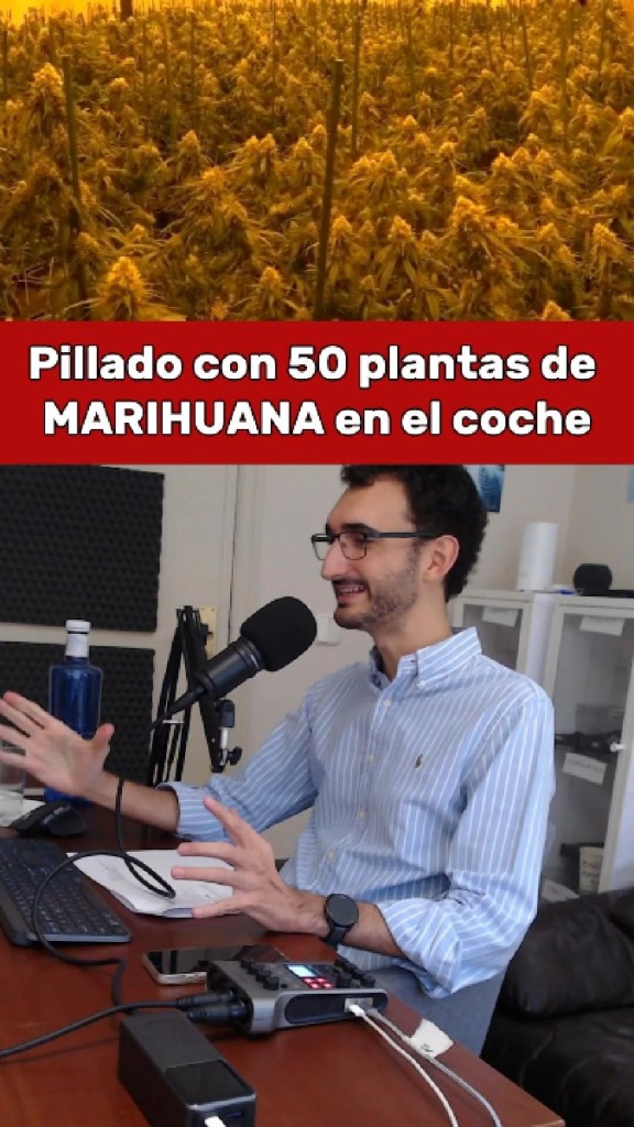 No me jodas. Si había un momento para estar concentrado en las señales, era este. Porque llevar 50 plantas de marihuana en el male…